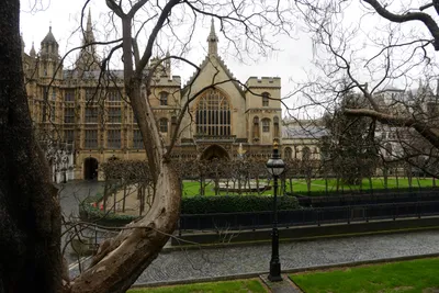 DSC_5634 (Large).JPG